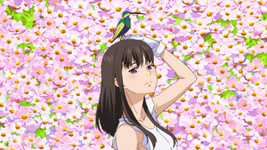 Otaku Tail No Fansub: Fire Force Temporada 1